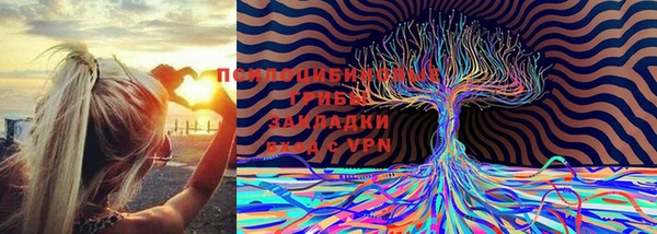 твердый Бронницы