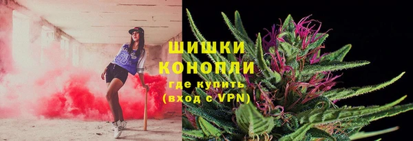 твердый Бронницы