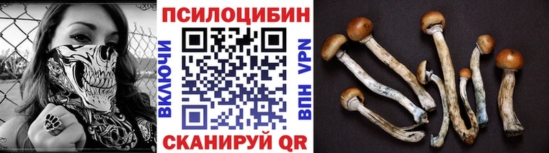 Псилоцибиновые грибы Cubensis  где купить наркоту  Кочубеевское 